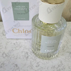 Отзывы Chloe Violette