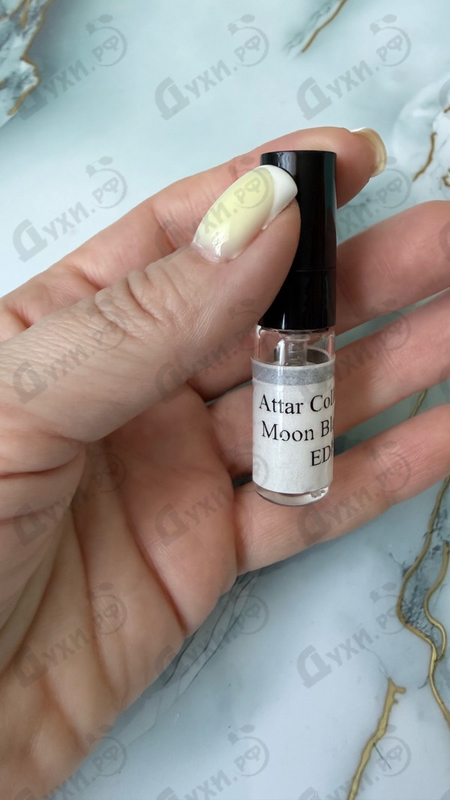 Парфюмерия Moon Blanche от Attar Collection