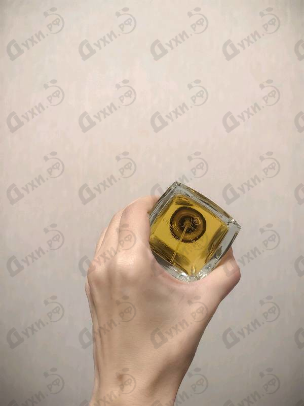 Отзыв Chanel Comete