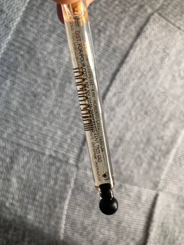 Купить Velour Saffron от Roberto Cavalli