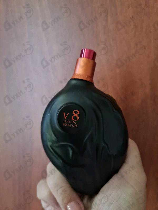 Купить Abundance V 8 от Map Of The Heart