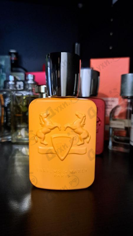 Парфюмерия Perseus от Parfums de Marly