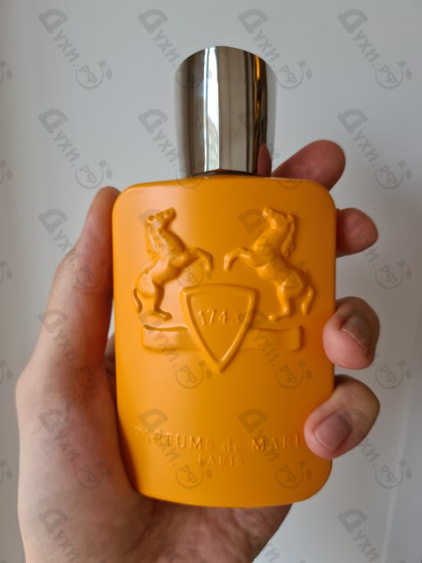 Купить Perseus от Parfums de Marly