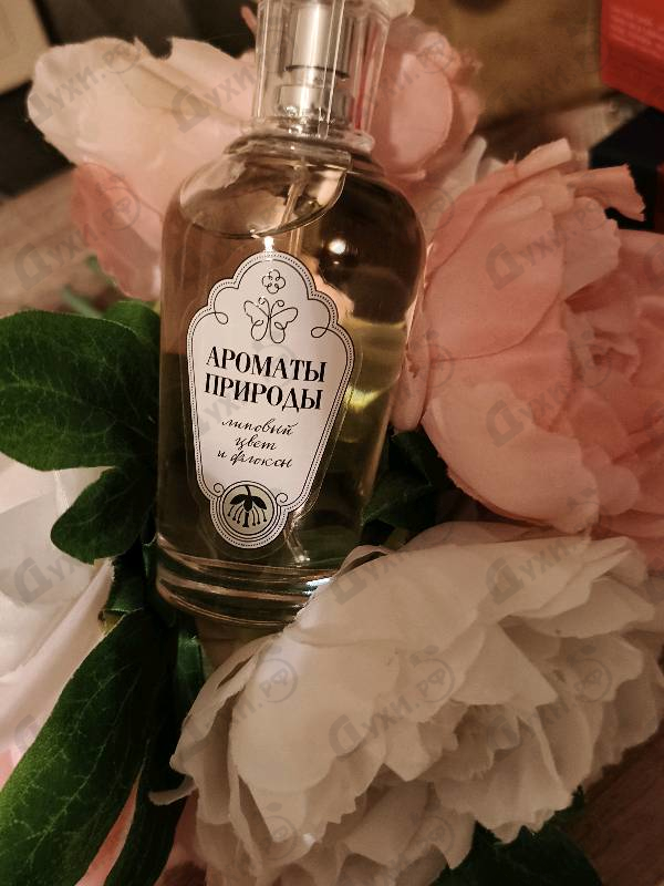 Парфюмерия Ароматы природы Липовый цвет и Флоксы от Brocard