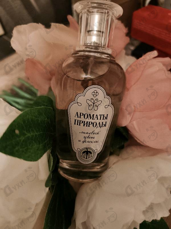 Парфюмерия Brocard Ароматы природы Липовый цвет и Флоксы