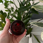 Духи Juliette от Juliette Has A Gun