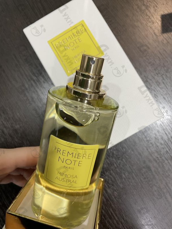 Купить Mimosa Austral от Premiere Note