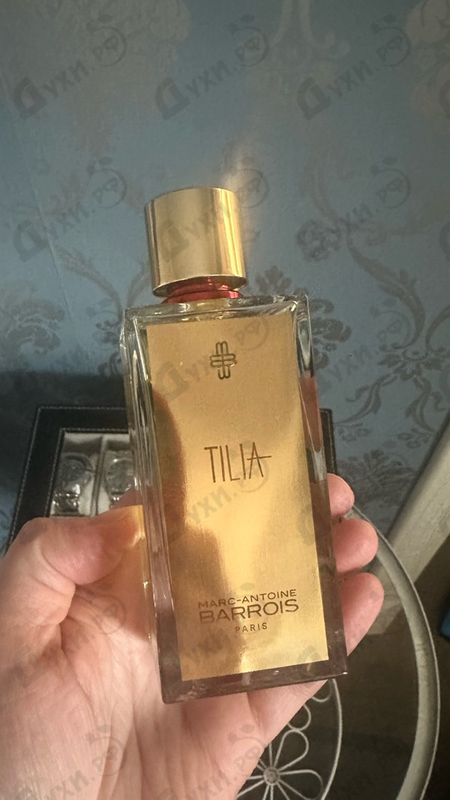 Купить Tilia от Marc-Antoine Barrois