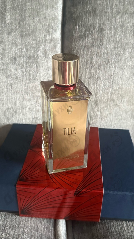 Купить Tilia от Marc-Antoine Barrois