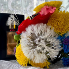 Духи Tilia от Marc-Antoine Barrois