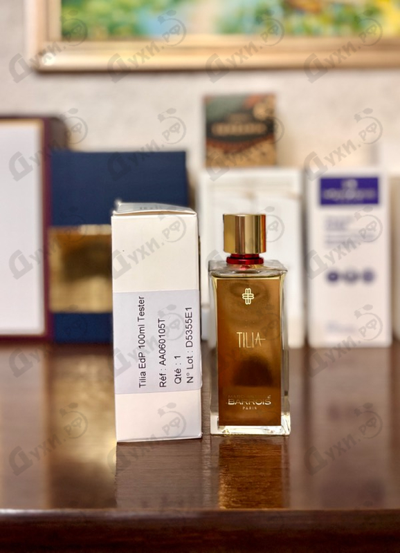 Купить Tilia от Marc-Antoine Barrois