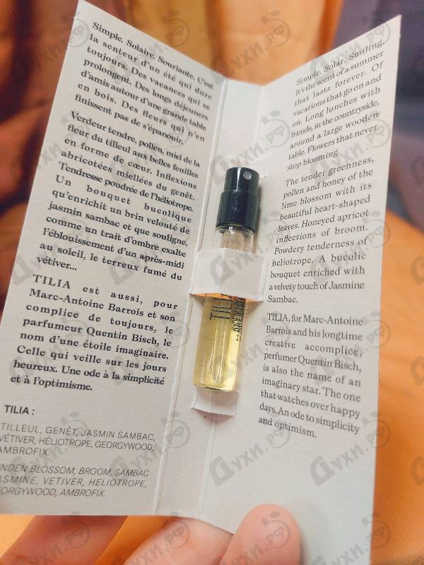 Купить Tilia от Marc-Antoine Barrois