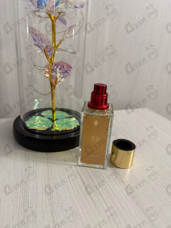 Купить Marc-Antoine Barrois Tilia