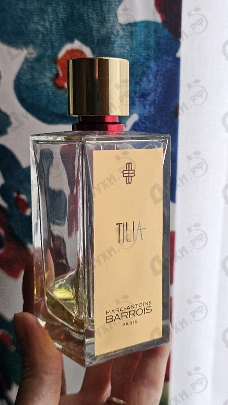 Купить Tilia от Marc-Antoine Barrois