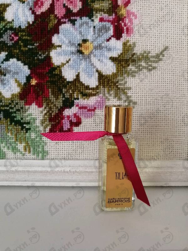 Купить Marc-Antoine Barrois Tilia