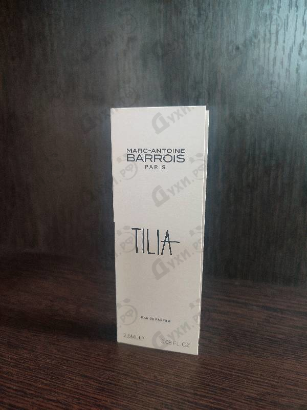 Купить Tilia от Marc-Antoine Barrois