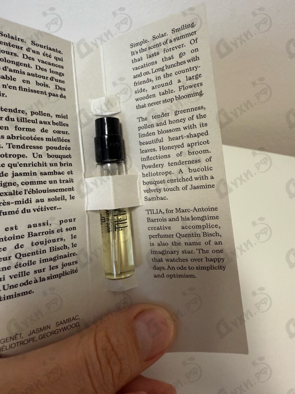 Купить Tilia от Marc-Antoine Barrois