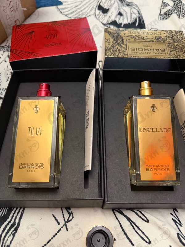 Купить Tilia от Marc-Antoine Barrois