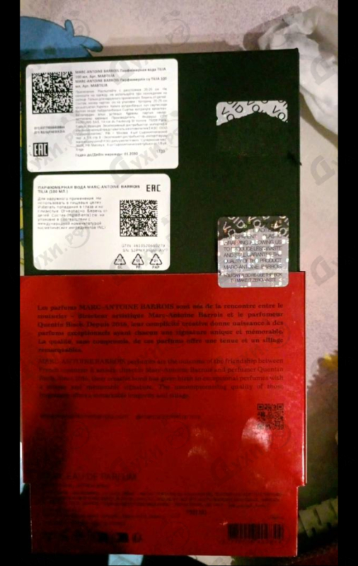 Купить Tilia от Marc-Antoine Barrois