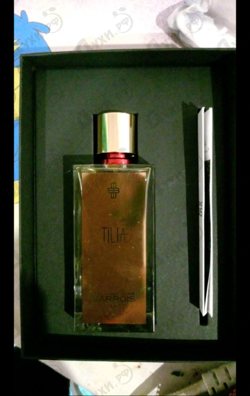 Купить Tilia от Marc-Antoine Barrois