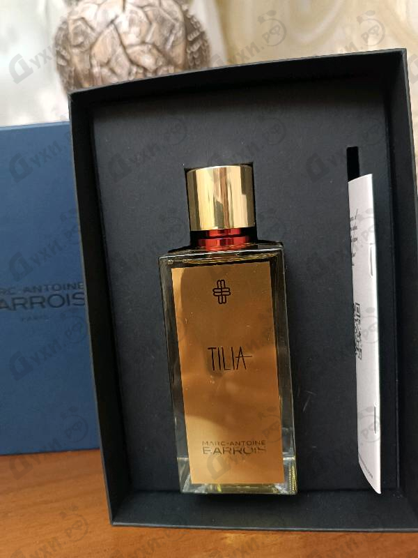 Купить Marc-Antoine Barrois Tilia