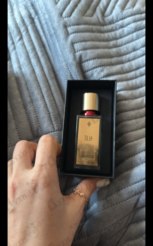 Купить Tilia от Marc-Antoine Barrois