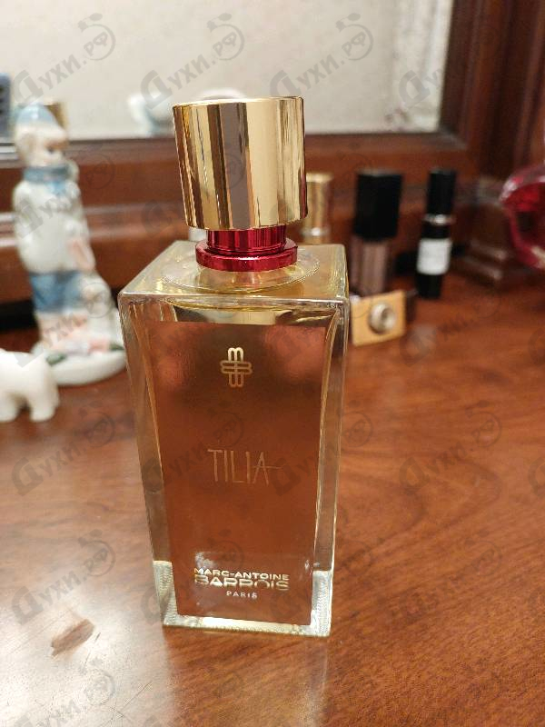 Купить Tilia от Marc-Antoine Barrois