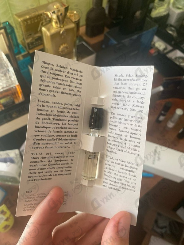 Купить Tilia от Marc-Antoine Barrois