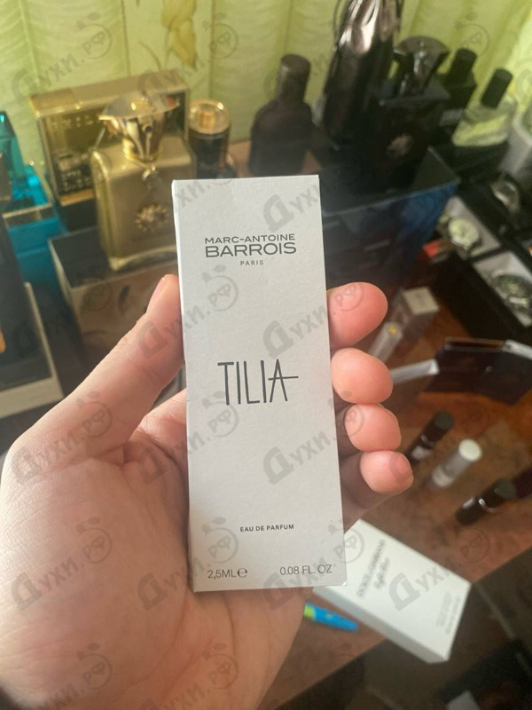 Купить Tilia от Marc-Antoine Barrois