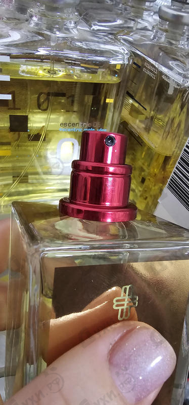 Парфюмерия Tilia от Marc-Antoine Barrois