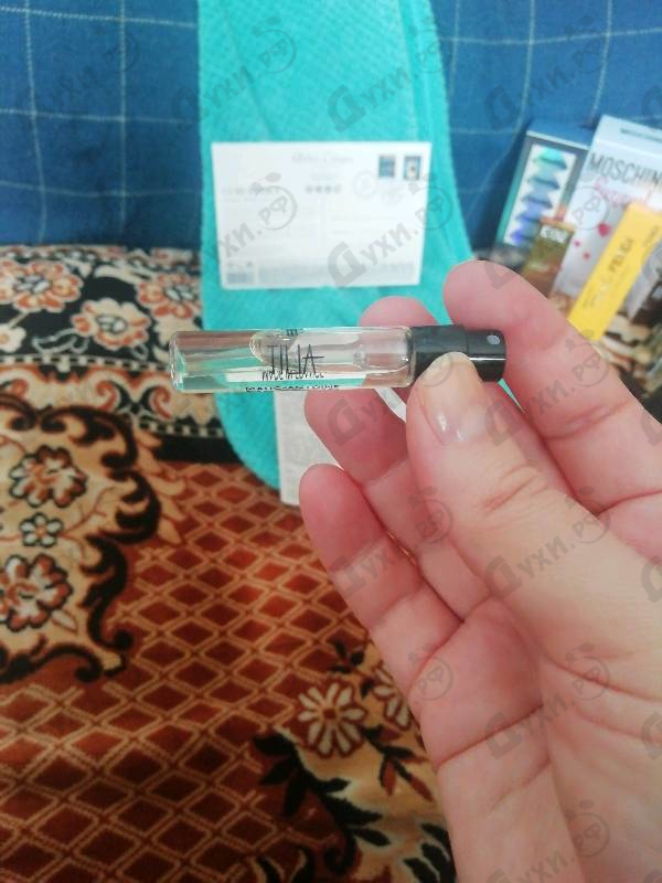 Купить Tilia от Marc-Antoine Barrois