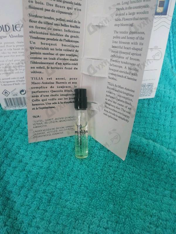 Парфюмерия Tilia от Marc-Antoine Barrois