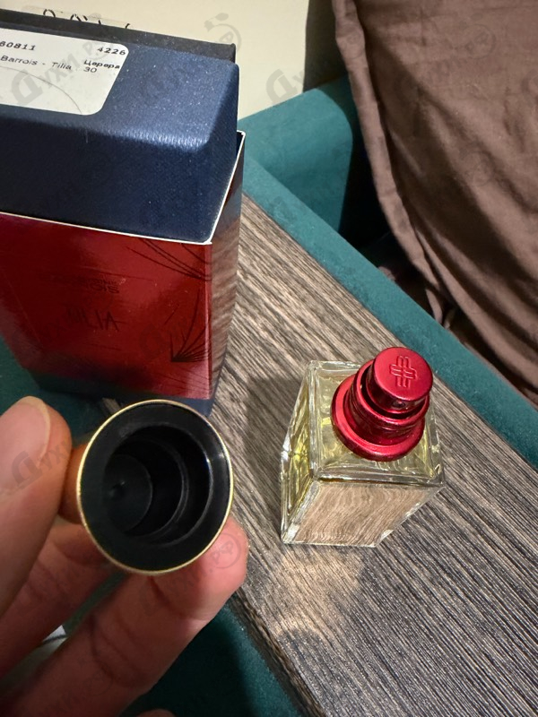 Купить Tilia от Marc-Antoine Barrois