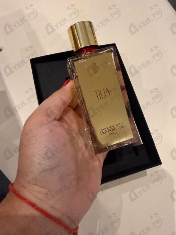 Купить Tilia от Marc-Antoine Barrois