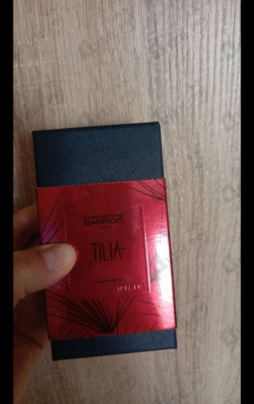 Купить Tilia от Marc-Antoine Barrois