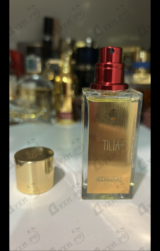 Купить Tilia от Marc-Antoine Barrois