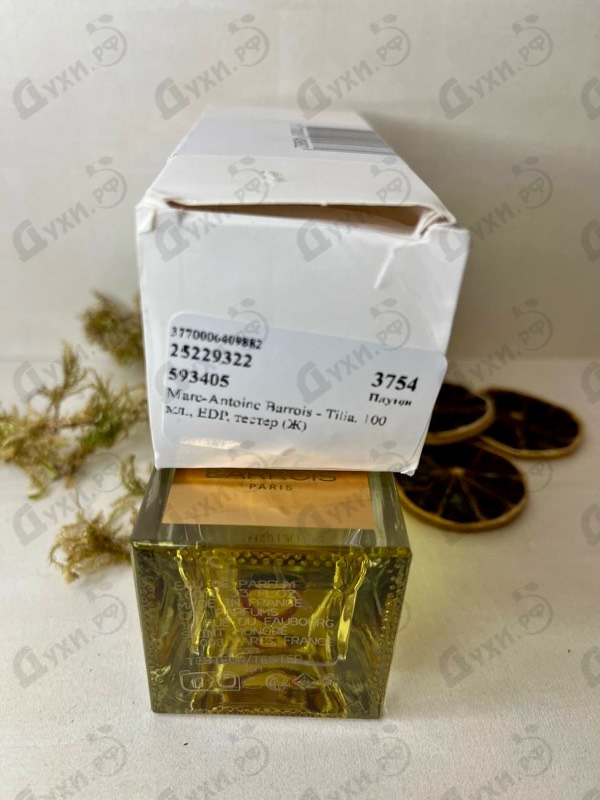 Купить Tilia от Marc-Antoine Barrois