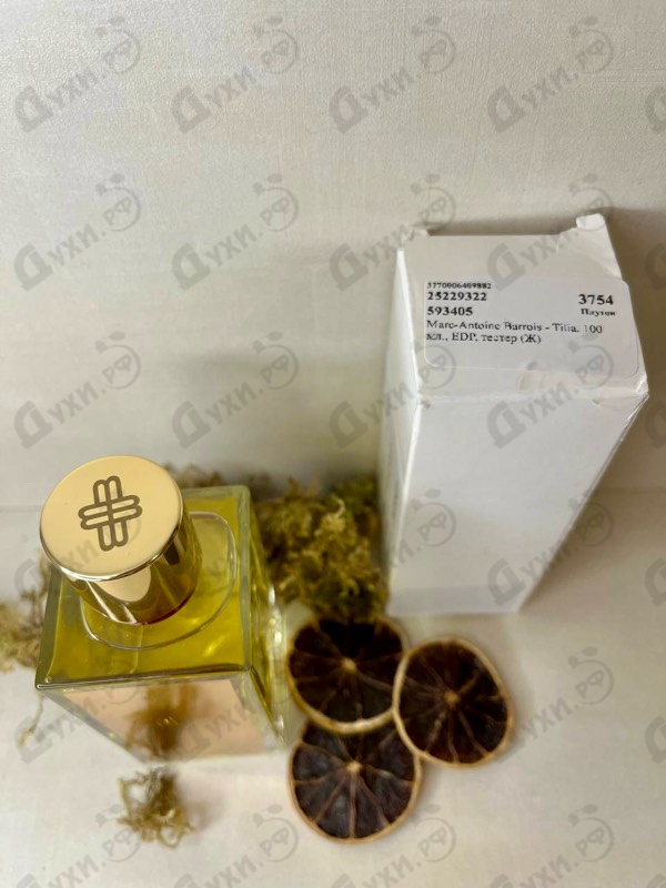 Купить Tilia от Marc-Antoine Barrois