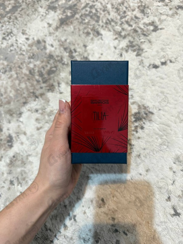 Купить Tilia от Marc-Antoine Barrois