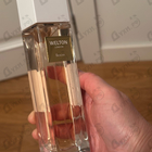 Отзыв Welton Sencha