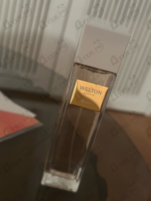 Отзывы Welton Sencha