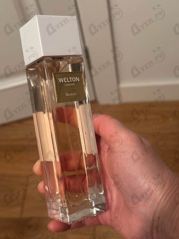 Купить Sencha от Welton