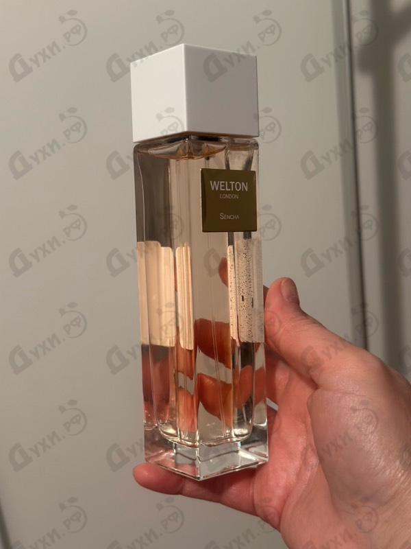 Купить Sencha от Welton
