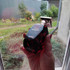 Отзыв Afnan Cherry Bouquet Парфюмерия Cherry Bouquet от Afnan