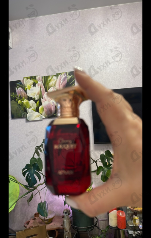 Отзывы Afnan Cherry Bouquet