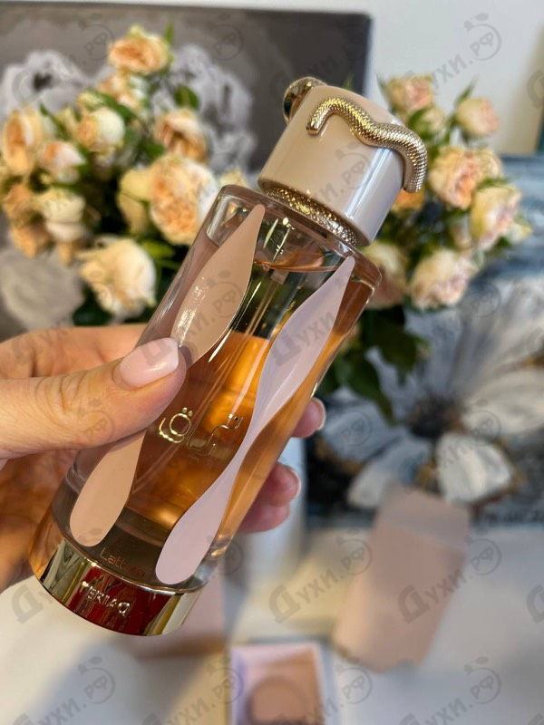 Купить Teriaq от Lattafa Perfumes