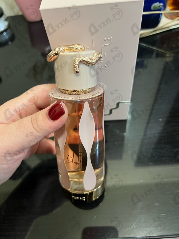 Парфюмерия Lattafa Perfumes Teriaq