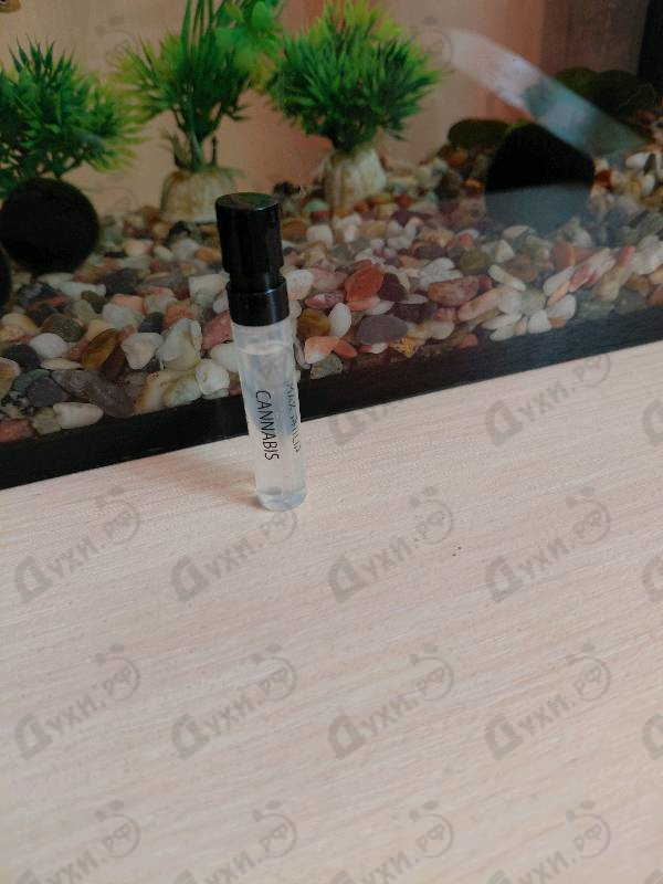 Купить Cannabis от Max Philip