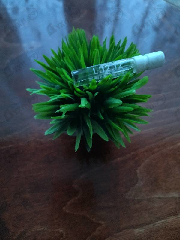 Отзывы Lacoste L.12.12 Rose Sparkling