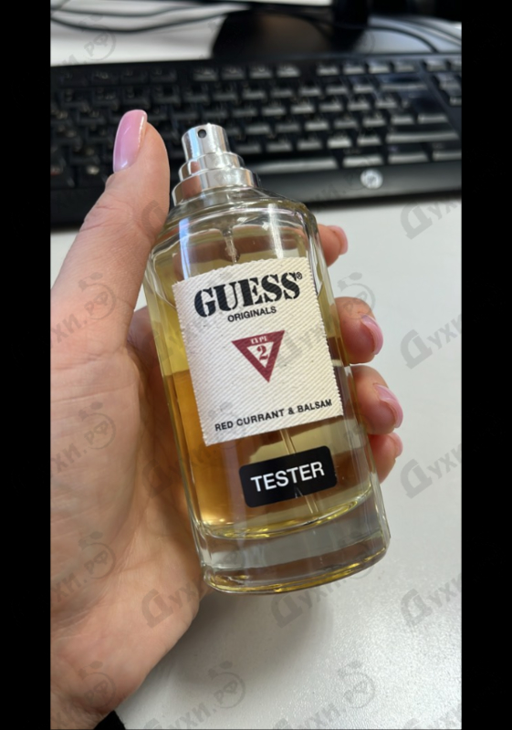 Купить Guess Type 2: Red Currant & Balsam
